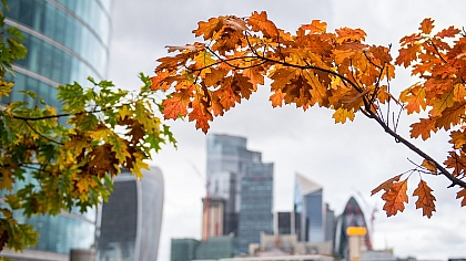 Discovering London: Unveiling the Secrets of a Timeless City