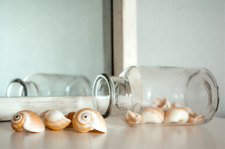 Shells in a Jar